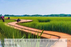 左云县村级“云监督”平台正式上线 财务支出实时公示，阳光透明提升治理效能